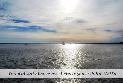 I Chose You 1